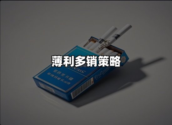 专业优势